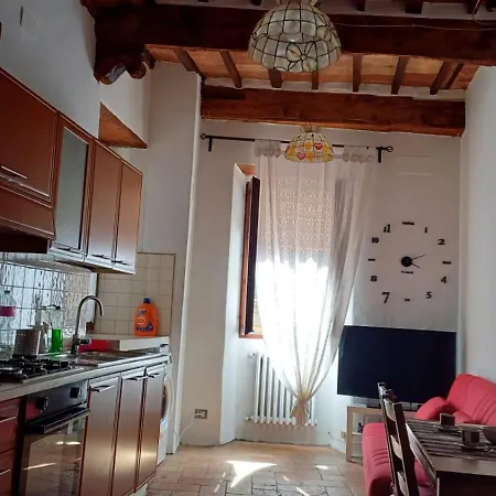 Casina 31 *