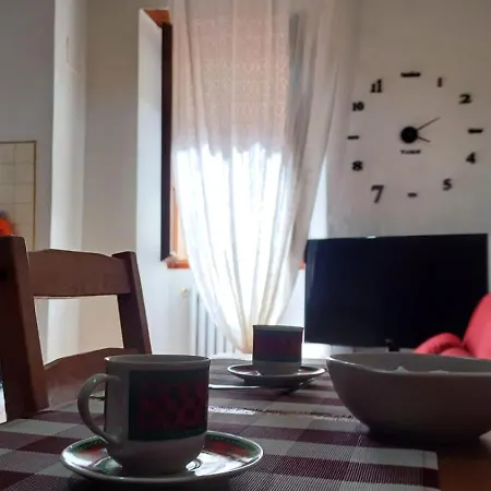 Casina 31